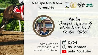 PRINCIPAIS AFECÇÕES DO SISTEMA LOCOMOTOR DE CAVALOS ATLETAS