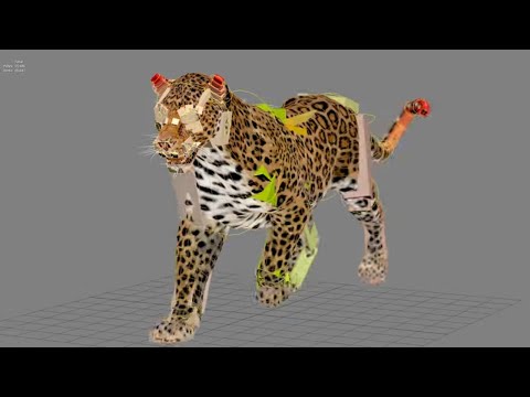 CG Breakdowns: Leopard 3D Model with Animation | PROmax3D