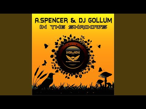 In the Shadows (Tunnel Allstars DJ Team Remix)