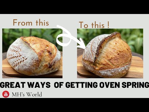 GREAT WAYS of Getting Oven Spring !