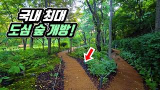 🚶7월1일 드디어 개방!  서울 한복판에 국내 최대 '3만평' 숲 정원이 열렸습니다 | 📸 대중교통 당일치기 트레킹 여행