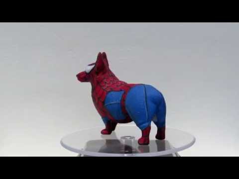 Spider Corgi