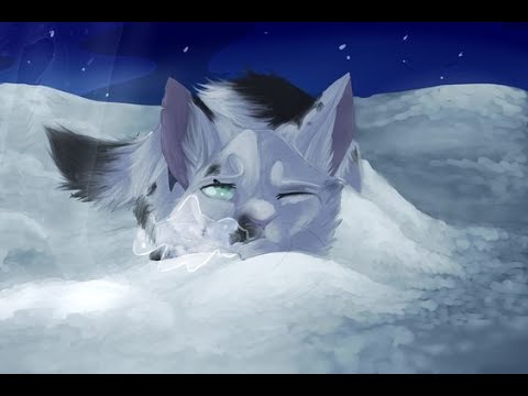 Saddest Warrior Cat Kit Deaths