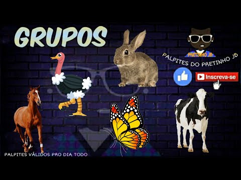 JOGO DO BICHO DE HOJE 05/11/2020 PARA TODAS AS LOTERIAS