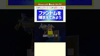 ムカついたので捕まえました😇マイクラ｜ファントムの捕獲方法を紹介！ #minecraft