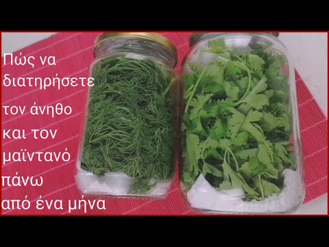 , title : 'Πώς να διατηρήσετε τον άνηθο & το μαϊντανό πάνω από 1 μήνα. Plant maintenance. Maria's Greek Food.'