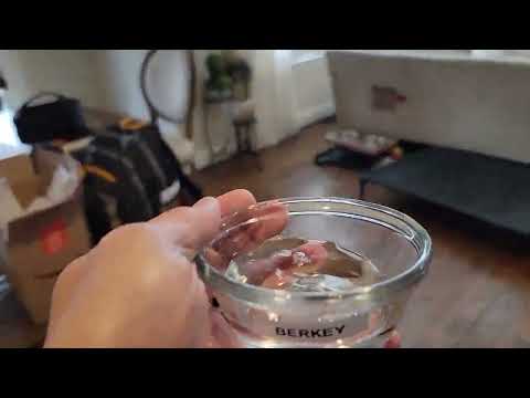 Water Filter test...Zero water vs Berkey vs Fridge vs Tap water.