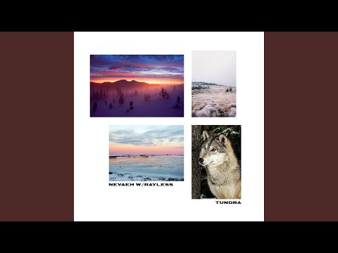 Tundra (feat. Rayless)