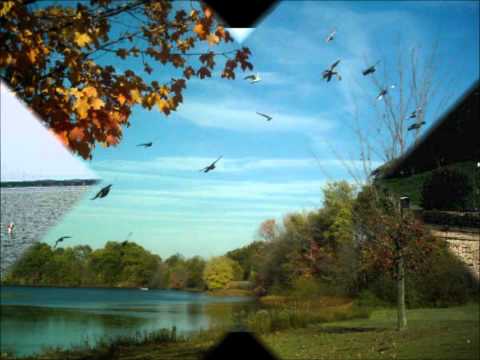 Don't Want To Leave/I Still Love You