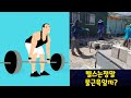 헬스는정말 물근육일까?