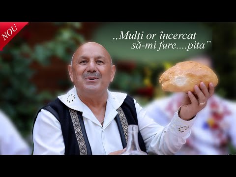 Nicu Novac - Multi or incercat sa-mi fure pita || Muzica din Banat