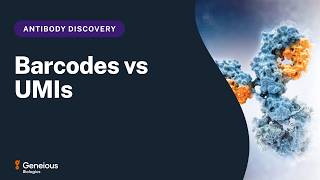 Barcodes vs. UMIs: How NGS Antibody Data Gets Processed