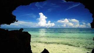 meraviglioso (negramaro)