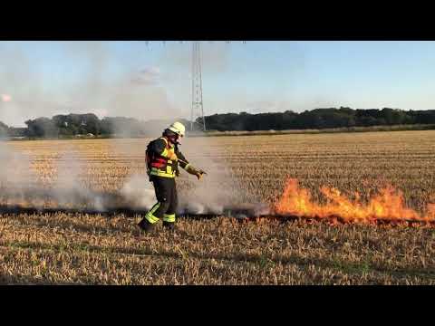 Ausbildung Flächenbrandbekämpfung Handcrew August 2020