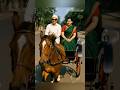 MGR Jayalalitha Songs Trending Mgr Jayalalitha