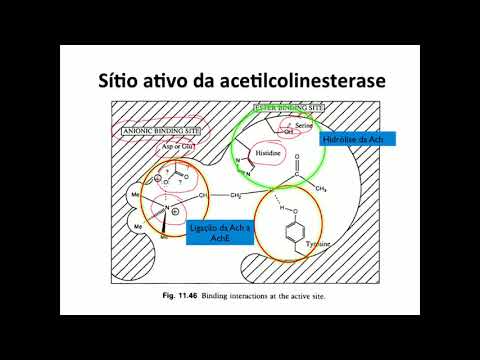 Curso de Farmacologia Aula 6   Farmacologia colinérgica   Anticolinesterásicos1