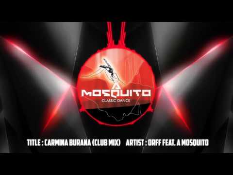 Dupa Furtuna - Bosquito