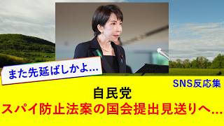 自民党 スパイ防止法案の国会提出、見送りへ...