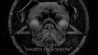 Pugtopsy - Snorts Of Sorrow (Music Video)