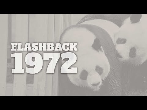 Flashback to 1972 - A Timeline of Life in America