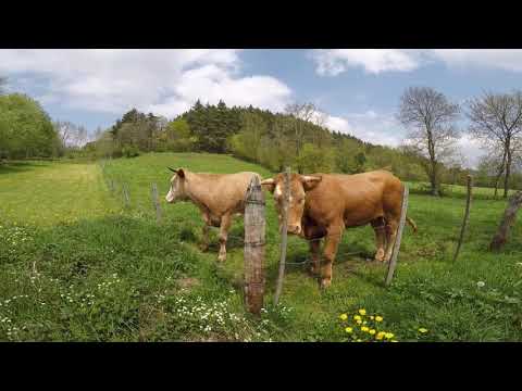 Etape 29 : Le Puy en Velay / Saint Julien Chapteuil