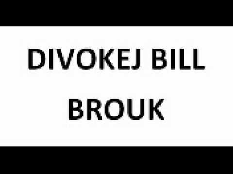 Divokej Bill   Brouk