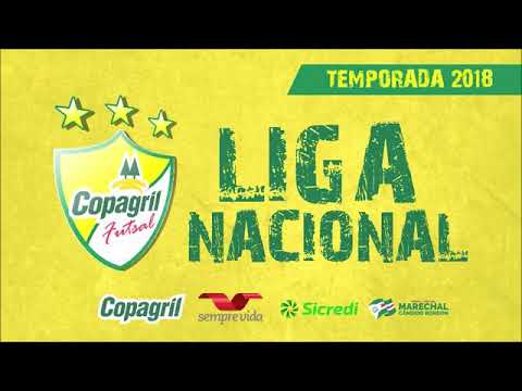 copagril 2 x 2 blumenau  copagril 2 x 0 blumenau gols 6