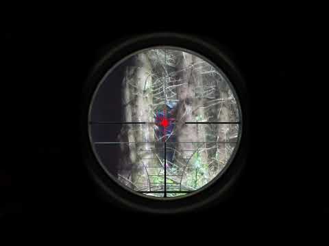 65 metre HVT kill, 1 joule Sniper