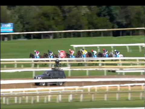 Black Caviar makes it 18 straight - Sportingbet C.F. Orr Stakes