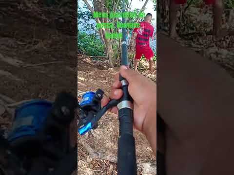 canboa da furqilha # entre Joaquim Pires e Luzilândia,pi