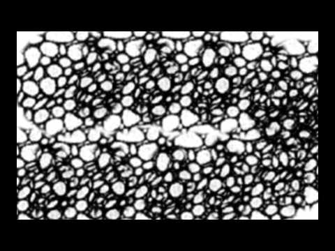 Boroh - Wchodzisz w to ?