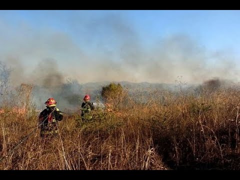 Hubo más de 620 intervenciones por incendios forestales en la Provincia
