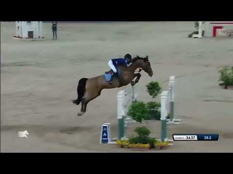 Malin Baryard Johnsson - H&M Indiana (04/03/2023) - Doha (CSI5* GCT - GP - 1.60m - JO)