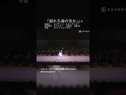 眠れる森の美女 より