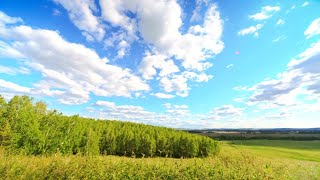 paz e interior: musica relaxante e natureza