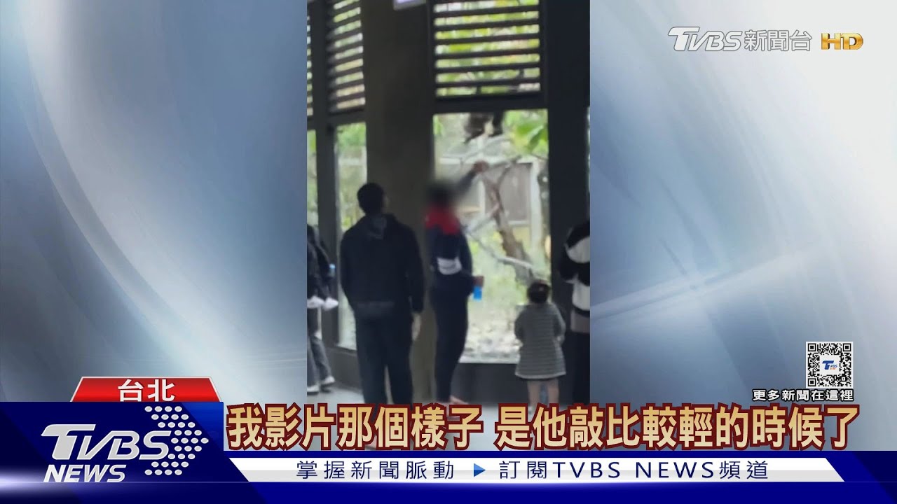 最壞身教! 男拍打動物園玻璃逗弄猴驚恐嚎叫