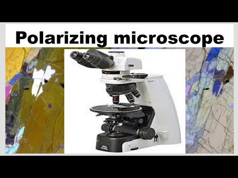 Olympus Polarizing Microscope
