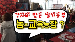 농촌교육농장 딸기코빨강코는 유치원부터 농업인까지 다양한  주제와 체험으로 선진농업을 보여드립니다.