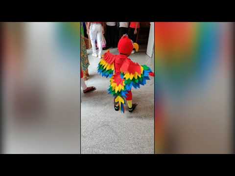 Beautiful "SCARLET MACAW PARROT"...