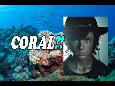 Unholy Death Knight Legion 7.2 PvP -- the TSG BURST!