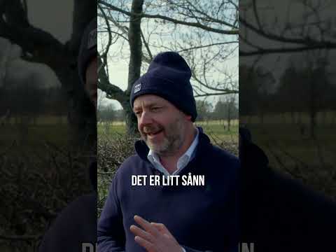 YouTube Video 3