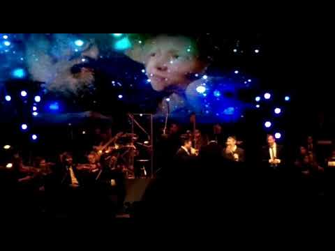 Avraham Fried, Baruch Levine and Simcha Leiner