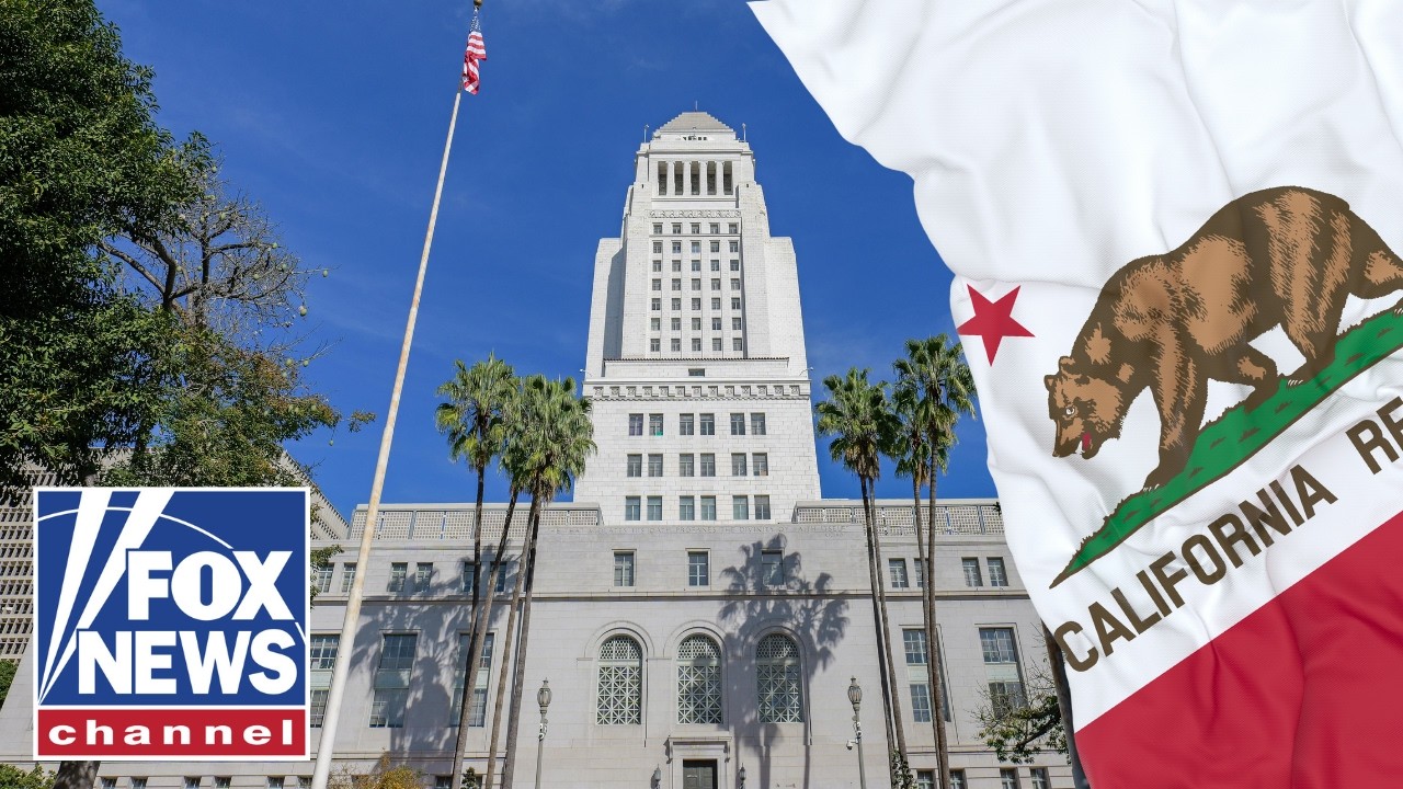 Los Angeles takes BIG STEP toward noncitizen voting