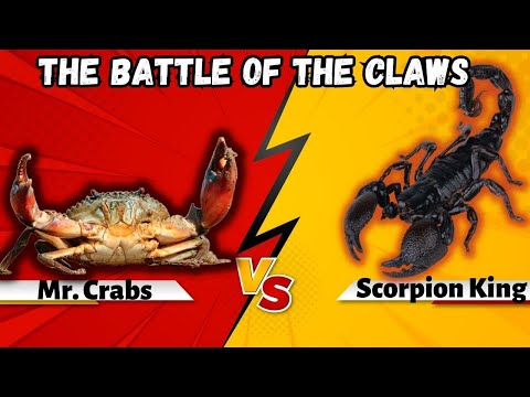 The Ultimate Underwater Showdown: Crab vs Scorpion" (Reaction)