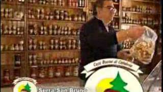 preview picture of video 'SERFUNGHI - COSE BUONE DI CALABRIA - SERRA SAN BRUNO.flv'