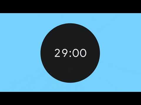 29 Minutes Timer