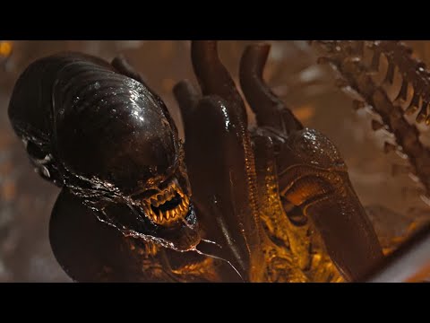 Xenomorph 4K Scene Pack (Alien: Romulus)