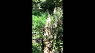 Take me home Country Road - Dem&#39;s  First Fish???