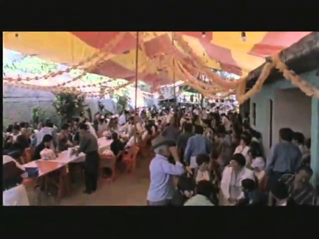 XV en Zaachila.mp4