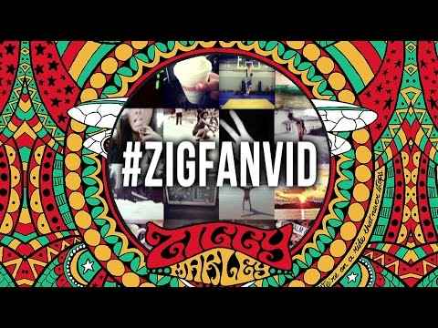 I Get Up – Ziggy Marley (fan Instagram lyric video) | FLY RASTA